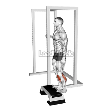 Elevated Standing Calf Raise