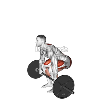 Barbell Pause Deadlift