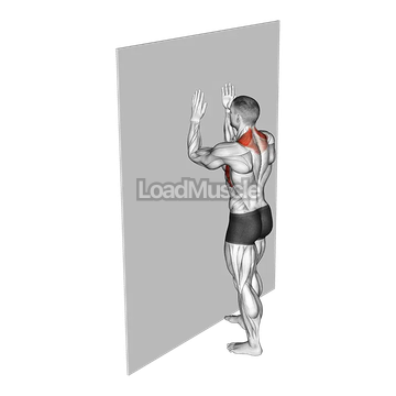 Serratus Wall Slide