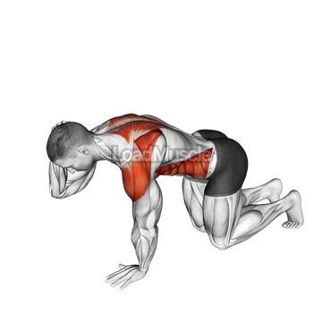 Kneeling Back Rotation