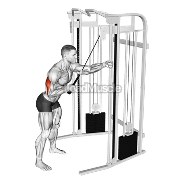 Cable Single Arm Triceps Pushdown (Rope Attachment)