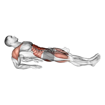Reverse Plank on Elbows