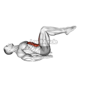 Lying Alternate Toe Touch Floor