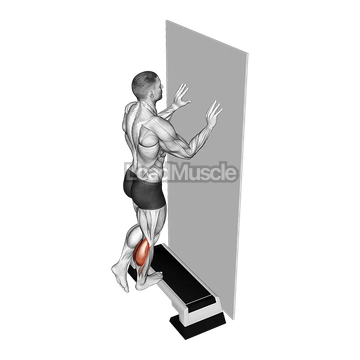 Single Leg Calf Raise Off Step