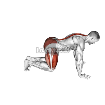 Kneeling Forward Hip Circles