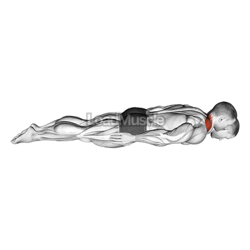 Prone Cervical Extension Isometric Hold