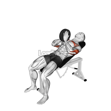 Weighted Incline Svend Press