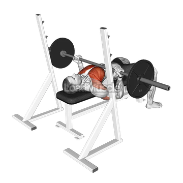 Barbell Reverse Grip Bench Press