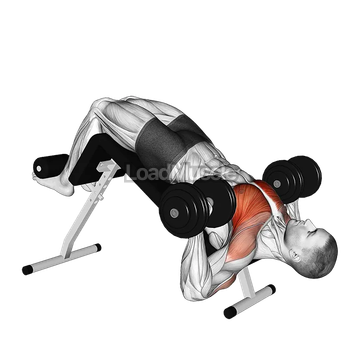 Dumbbell Single Arm Alternate Decline Bench Press