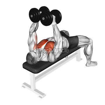 Dumbbell Single Arm Alternate Fly
