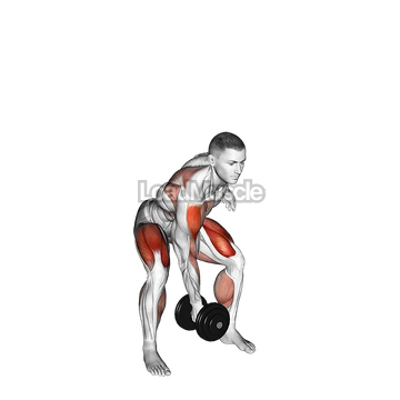 Dumbbell Single Power Clean