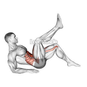 Alternate Toe Tap Leg Lift