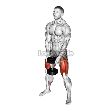 Dumbbell Sumo Squat