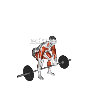 Barbell Clean and Jerk