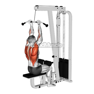 Cable Reverse Grip Pulldown
