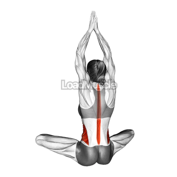 Seated Upper Body Rotation