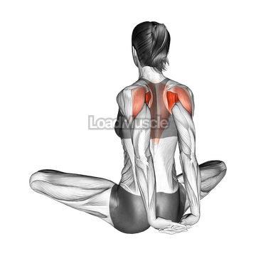 Seated Behind Back Raise