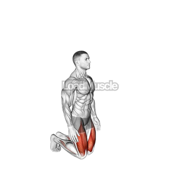 Bodyweight Kneeling Hold to Stand