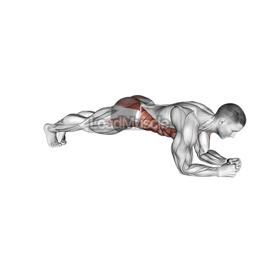 Plank Jack on Elbows