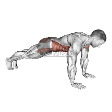 Plank on Hands