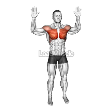 Bodyweight Standing Fly