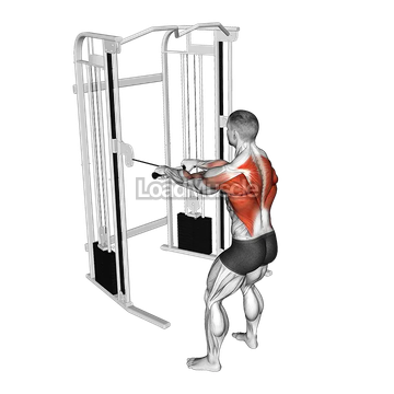 Cable Standing Close Grip Row