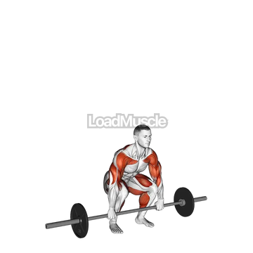 Barbell Clean and Jerk