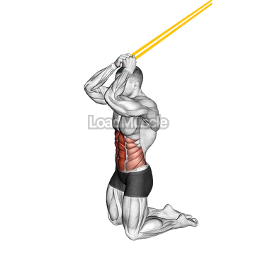 Resistance Band Kneeling Ab Crunch