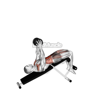 Single Dumbbell Decline Overhead Sit-up