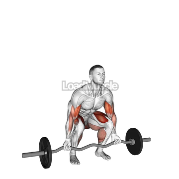 EZ-bar Deadlift with Biceps Curl