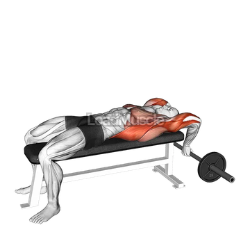 Old School Reverse Extensions