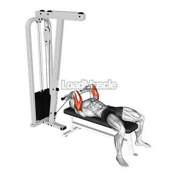 Cable Lying Triceps Extension (Low)