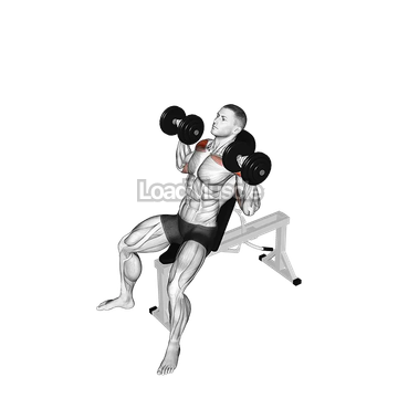 Dumbbell Incline Shoulders Press