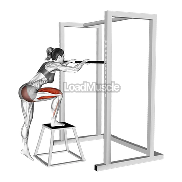 Bodyweight Glute Dominant Step-up