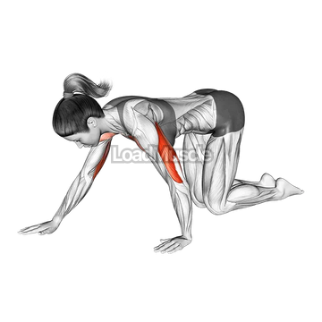 Kneeling Staggered Push-up