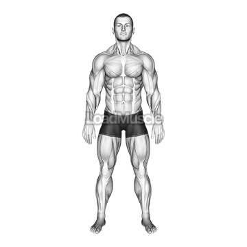 Standing Hands Position (Pronation Supination Neutral)