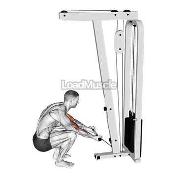 Cable Kneeling Preacher Curl