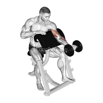 Dumbbell Preacher Curl (Turned Torso)