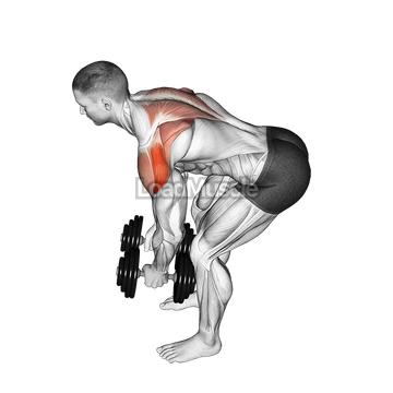 Dumbbell Rear Delt Fly (45 degrees)