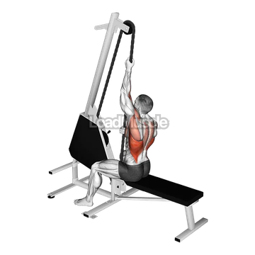Lever VMX Multy Mode Rope Lat Pulldown