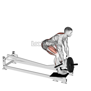Lever T-bar Romanian Deadlift