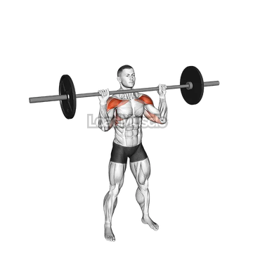 Barbell Standing Shoulders Press