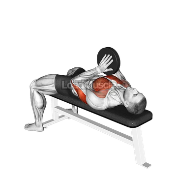 Svend Bench Press