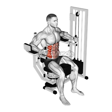 Lever Trunk Rotation