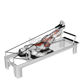 Lever Abduction Leg Raise