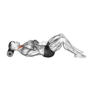 Roll Neck Decompress Lying on Floor