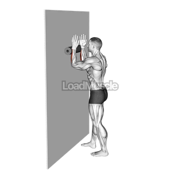 Roll Forearms Standing Against Wall