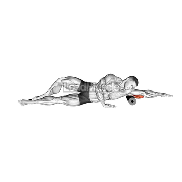 Roll Triceps Side Lying on Floor