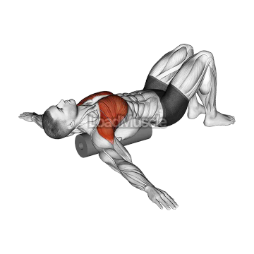 Roll Chest Opener Lying on Floor