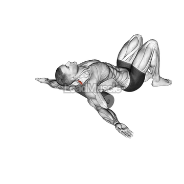 Roll Erector Spinae Lying on Floor